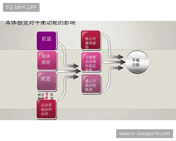 基于生物力学分析的学术机构攀岩技术动作优化与运动表现提升研究